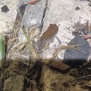 Stans Heating and Cooling A/C Repair (995700)