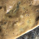 Tracking Atti's Intestinal Illness (994698)