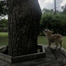 Rachel and Atti (996496)