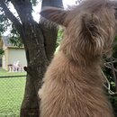 Rachel and Atti (993712)