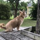 Rachel and Atti (993306)