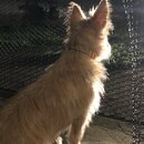 Atticus Finch! (996588)