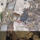 Stans Heating and Cooling A/C Repair (996526)