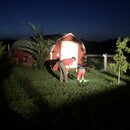 Fireworks at the Graves' Ranch (995008)