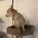 Atticus Finch! (993735)