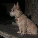 Atticus Finch! (993722)