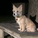 Atticus Finch! (994184)