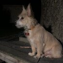 Atticus Finch! (993985)