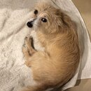 Atticus Finch! (994780)