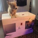 Alienware Monitor Setup (997608)