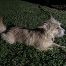 Atticus Finch! (995576)