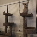 Atticus Finch! (993419)