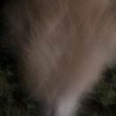 Atticus Finch! (994815)