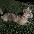 Atticus Finch! (996375)