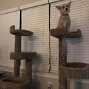 Atticus Finch! (995959)