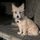 Atticus Finch! (997410)