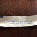 Fortune Cookie Collection (994707)