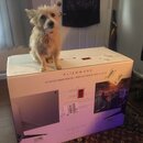 Alienware Monitor Setup (997587)