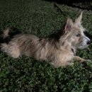 Atticus Finch! (997151)