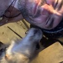 Post Run Sweaty Shots (993906)