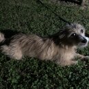 Atticus Finch! (997481)