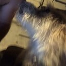 Post Run Sweaty Shots (995584)