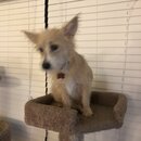 Atticus Finch! (995440)