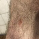 Game Night in San Antonio (995432)