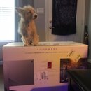 Alienware Monitor Setup (996878)