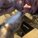 Post Run Sweaty Shots (997544)