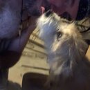 Post Run Sweaty Shots (993796)