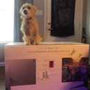 Alienware Monitor Setup (995479)