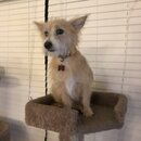 Atticus Finch! (996296)