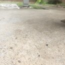 Atti and a Lizard (996481)