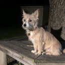 Atticus Finch! (993528)