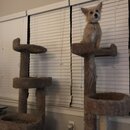 Atticus Finch! (995041)