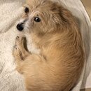 Atticus Finch! (995823)