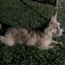 Atticus Finch! (995563)