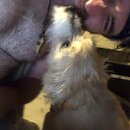 Post Run Sweaty Shots (995912)