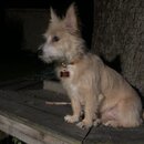 Atticus Finch! (993847)