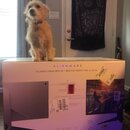 Alienware Monitor Setup (994082)