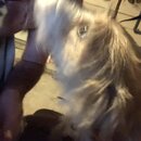 Post Run Sweaty Shots (994153)