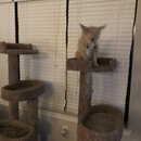 Atticus Finch! (996989)