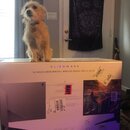 Alienware Monitor Setup (993701)