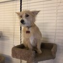 Atticus Finch! (995604)