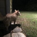 Atticus Finch! (994640)