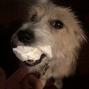 Atticus Finch! (994365)