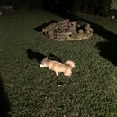 Atticus Finch! (997098)