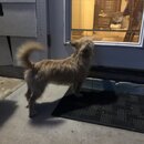 Atti and Luna (997114)