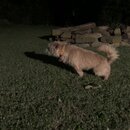 Atticus Finch! (995574)